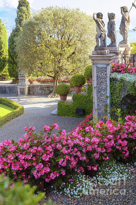 Jenny Rainbow - Great Italian Gardens - Isola Bella 30