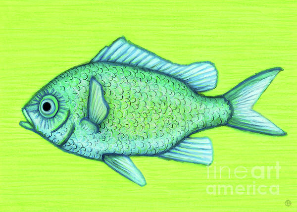 Bluegill Illustration Fishing Pullover design | Art Print