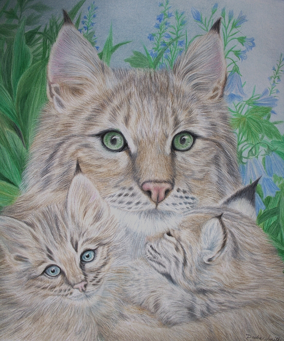 Deidra Smith - Green Eyed Bobcat Snuggles with Her Kittens