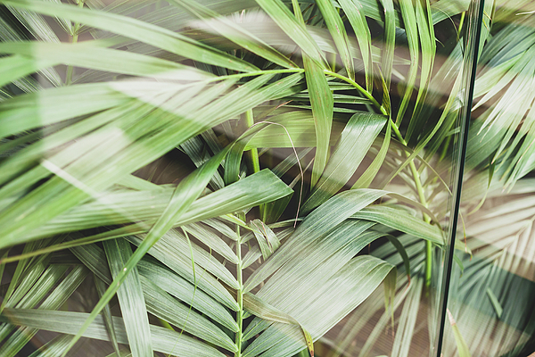 Nature Leaves Bath Mat, Tropical Leaf Print Soft Plush Bath Mat