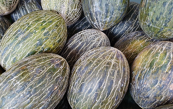 E Hollender - Green Melons