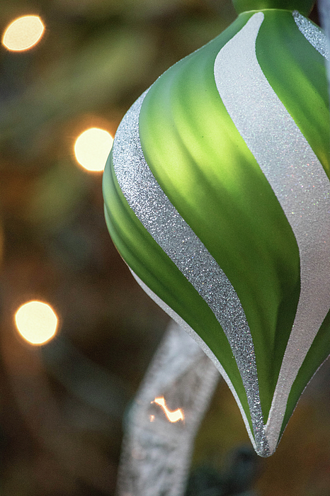 Nancy Jacobson - Green Ornament Festive Christmas Decoration