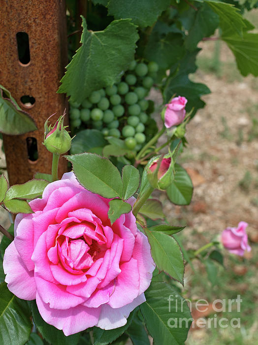 Flower Art
