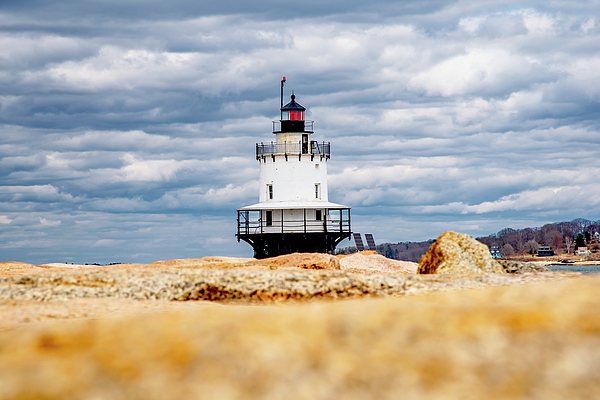 Guardian of the Jetty Coffee Mug