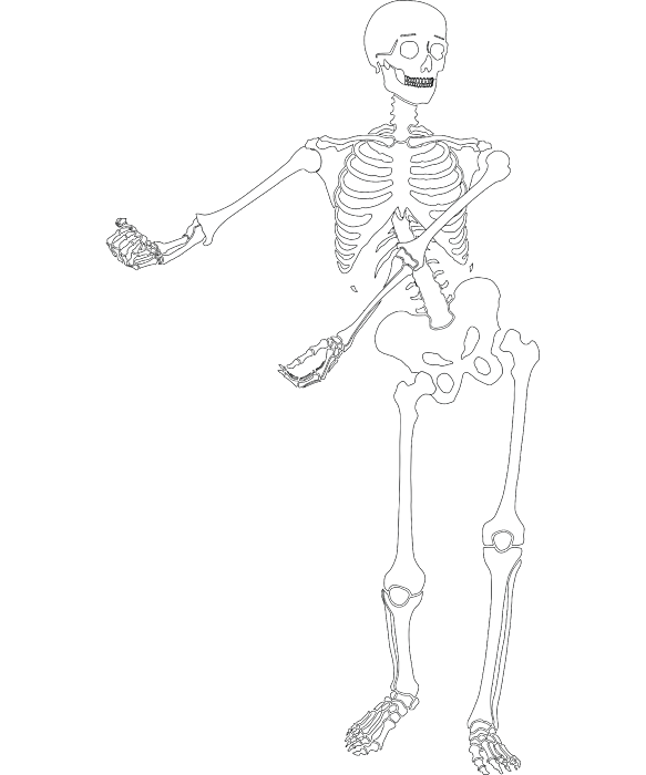 skeleton drawing for kids
