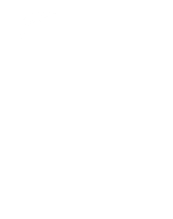 Han And Chewie s Twelve Parsec Straight Srs Whiskey Fan Tee Star Wars Last  Poster by Ingvar Ohlsson - Pixels