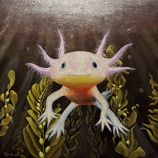 https://images.fineartamerica.com/images/artworkimages/medium/3/happy-axolotl-nate-robrecht.jpg