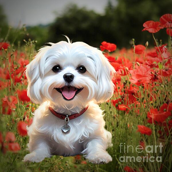Charlene Adler - Happy Dog in Poppies 