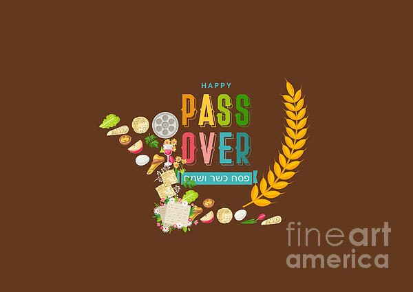 Aesha Mohamed - Happy Passover 1