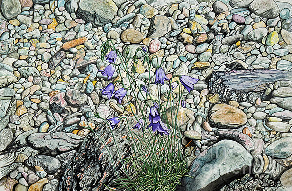 Stephen Emms - Harebell Painting