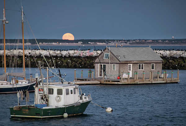 Cape Cod Art