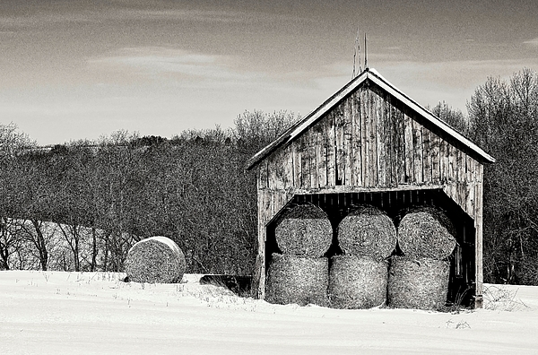 Steven Ralser - Hay filled Barn, Madison Wisconsin