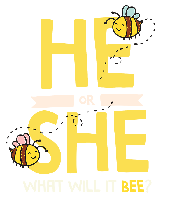 He Or She What Will It Bee Gender Reveal Baby Shower T Shirt For Sale By Noirty Designs