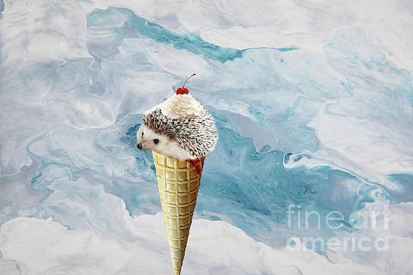 https://images.fineartamerica.com/images/artworkimages/medium/3/hedgehog-on-ice-cream-cone-one-elisabeth-lucas.jpg
