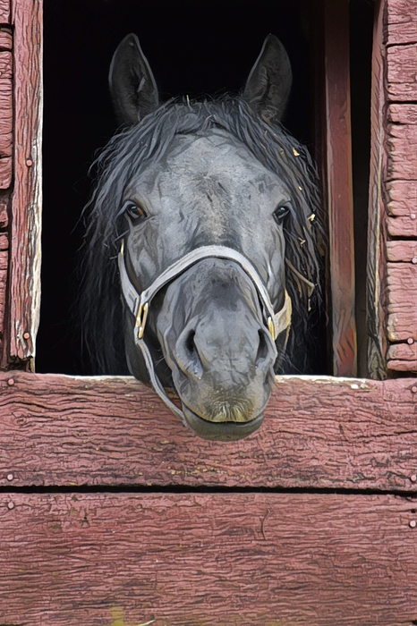 Barn Art