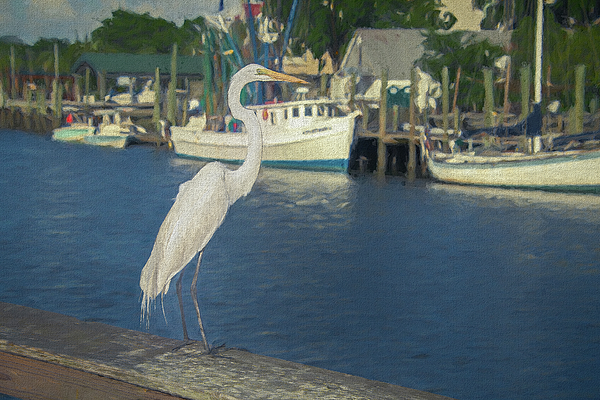 Steve Rich - Henry - Shem Creek Welcoming Great White Egret Painted