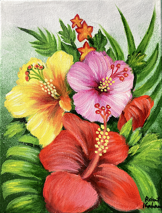 Robert Korhonen - Hibiscus flower