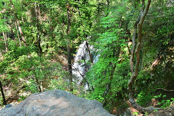 Lisa Wooten - Hidden Waterfall Below The Boulder