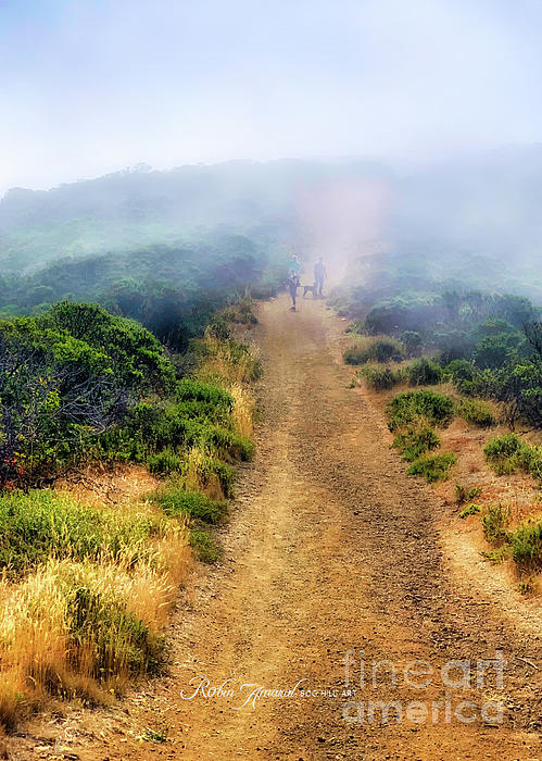 Robin Amaral - Hiking Foggy Sweeney Ridge Trail Pacifica