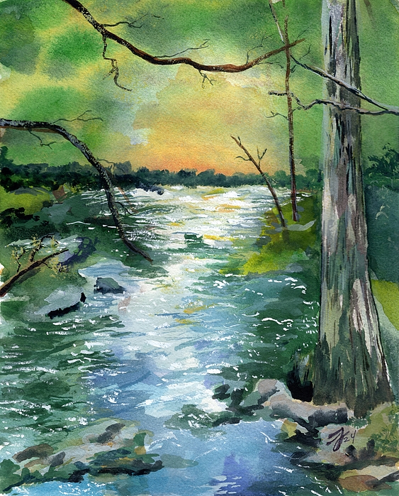 Tom Jenkins - Hillsborough River