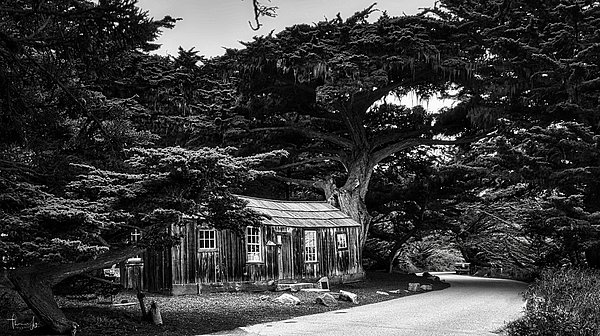 Thomas Ly - Historic House at Point Lobos in BW