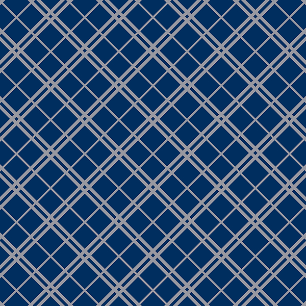 Harry Potter Ravenclaw Pattern R Wall Art