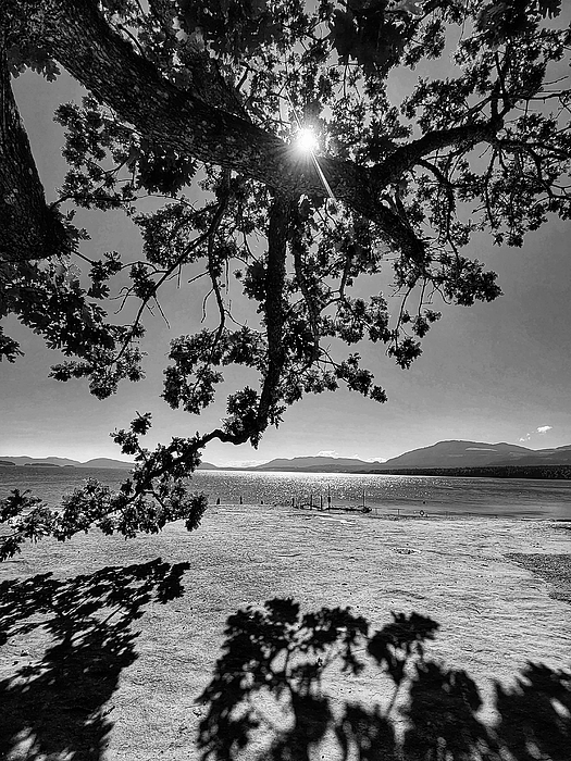 Adam Copp - Hold the Sun - Vancouver Island