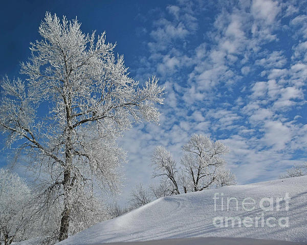 Kathy M Krause - Hoarfrost And Snow Drifts
