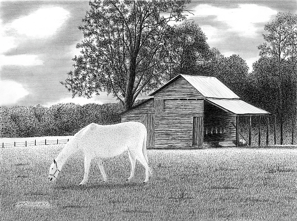 Black And White Drawings