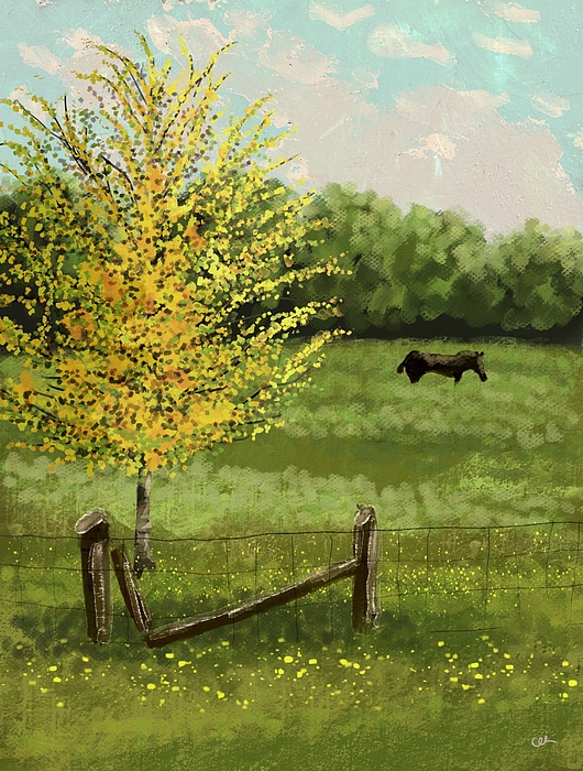 Jonathan Clark - Horse in the Pasture