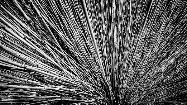 Abstract Art