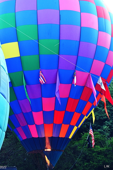 Lisa Wooten - Hot Air Balloon Colors Vertical