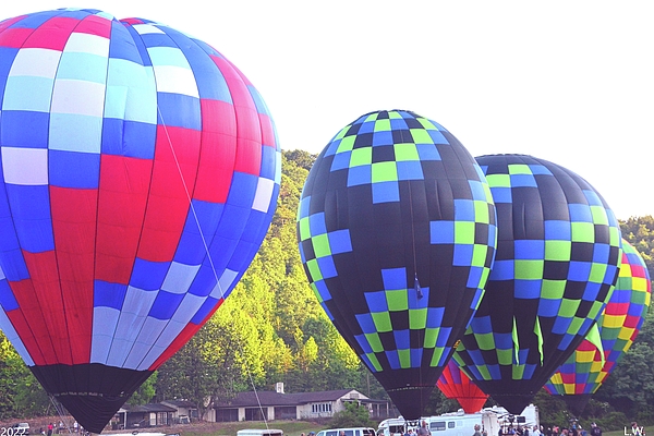Lisa Wooten - Hot Air Balloons Ready For Take Off
