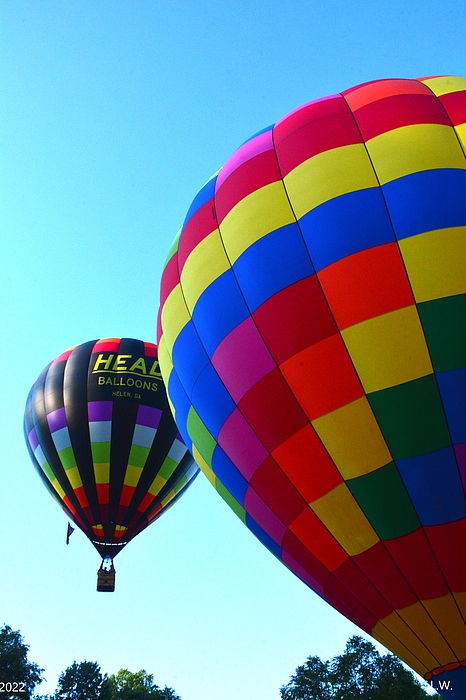 Lisa Wooten - Hot Air Balloons Vertical