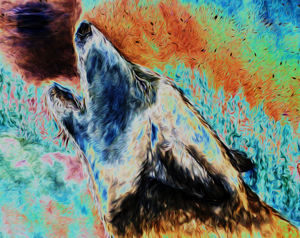 Animal Portrait Mixed+media