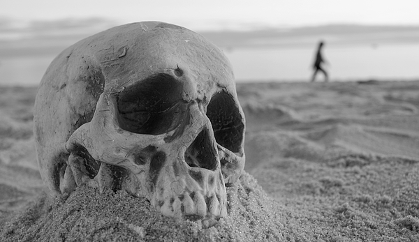 https://images.fineartamerica.com/images/artworkimages/medium/3/human-skull-on-sand-silvy-tanamas.jpg