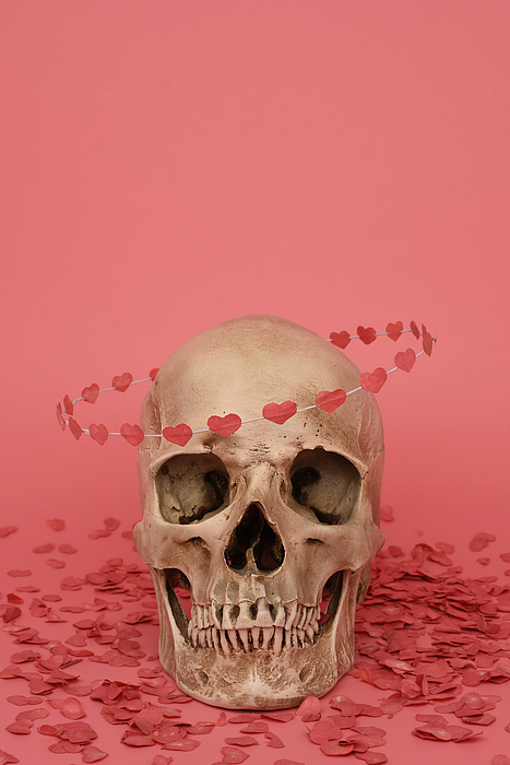 hearts and skulls backgrounds