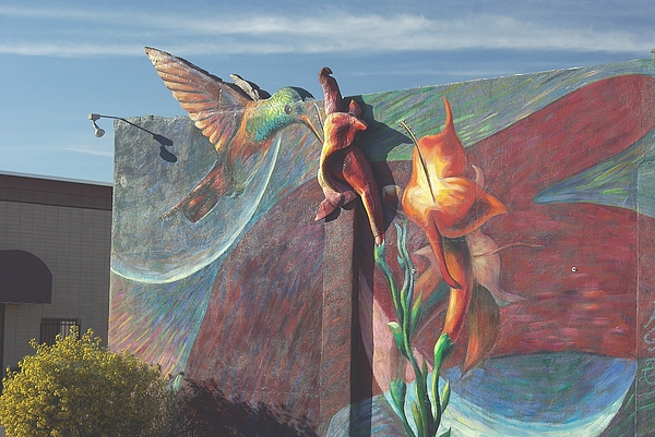 Pat Goltz - Hummingbird Mural