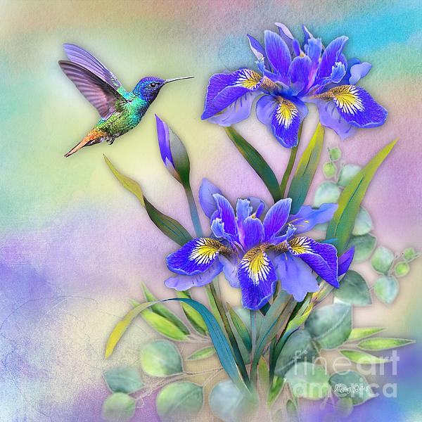 Morag Bates - Hummingbird on Blue Iris