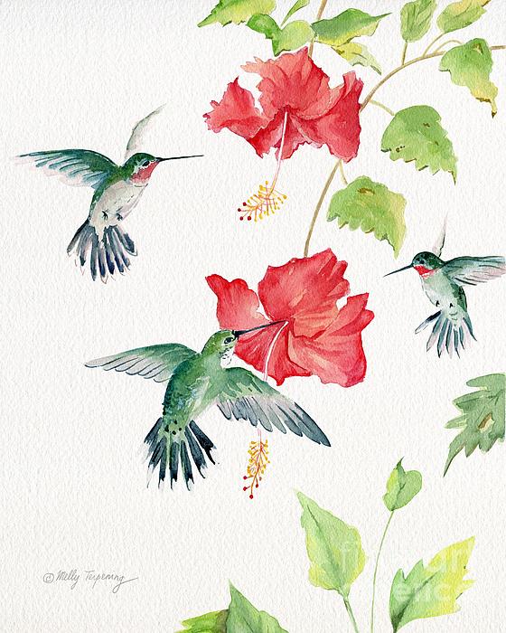 https://images.fineartamerica.com/images/artworkimages/medium/3/hummingbirds-and-hibiscus-melly-terpening.jpg