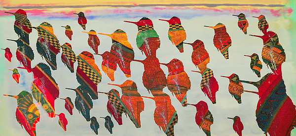 Jeff Burgess - Hummingbirds