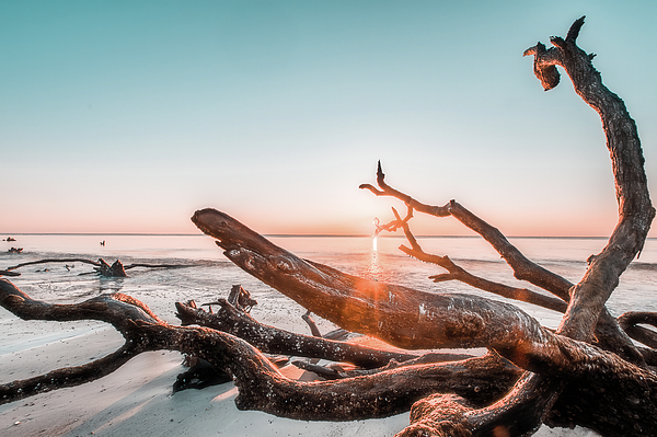Steve Rich - Hunting Island sunrise Image Captures the Beauty