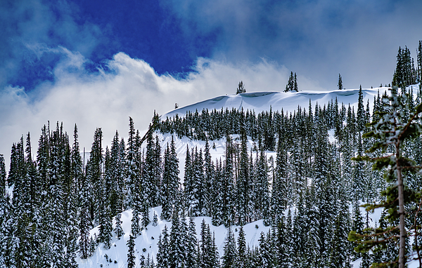 Washington Photographs