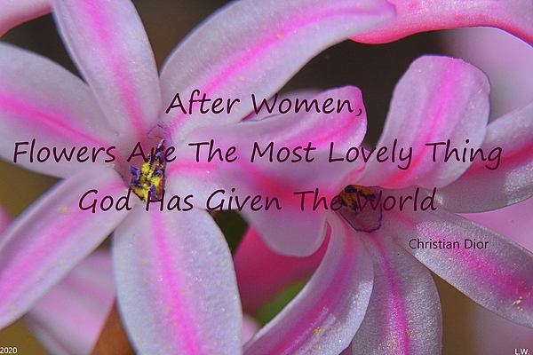 Lisa Wooten - Flowers Are The Most Lovely