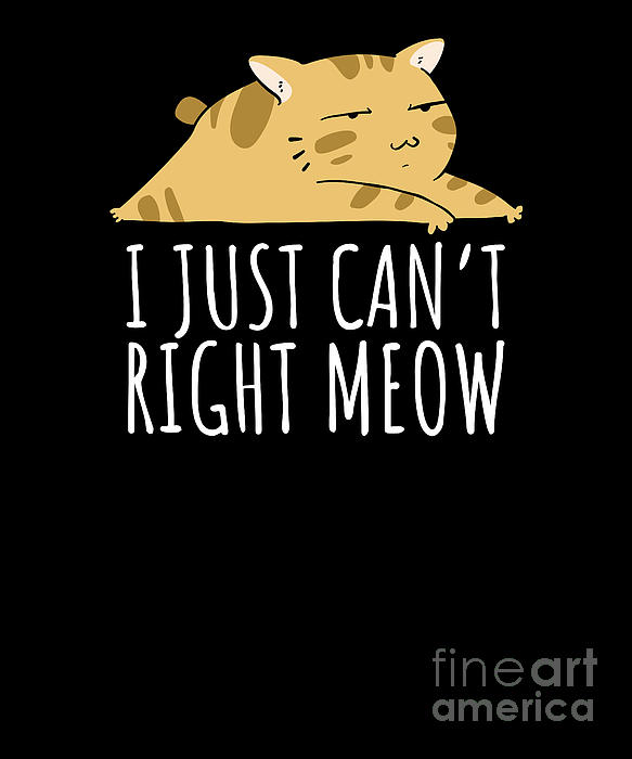 I Just Cant Right Meow Lazy Punny Cat iPhone 13 Case by Noirty