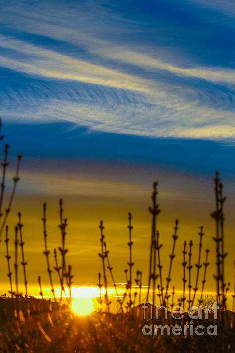 Sunrise Photographs