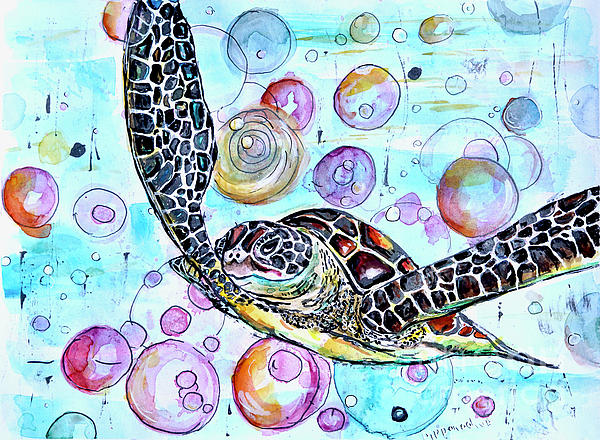 Patty Donoghue - I Spy a Sea Turtle