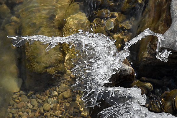 Greta Foose - Ice Sculpture by Nature