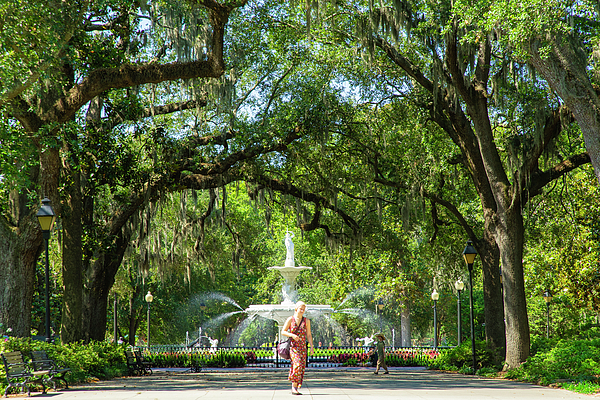 Wayne Moran - Iconic Forsyth Park Fountain Savannah Georgia