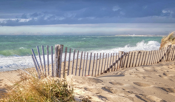 Herring Cove Art